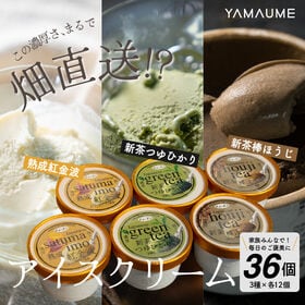 【100ml×36個】新茶と和の極みアイス(業務用)焼き芋・...