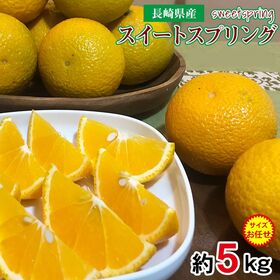 【予約受付】1/25~順次出荷【約5kg/サイズお任せ】長崎県産スイートスプリング (傷有) | 爽やかな香りに上品な甘み♪親は「上田温州」×「ハッサク」です！