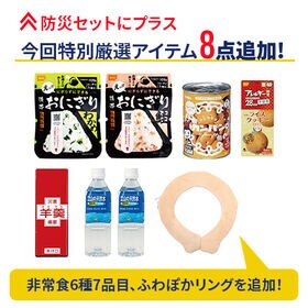 防災士が選んだオリジナル防災用品38点セットDX【30点セット+食料飲料×7+ふわぽかリング×1】