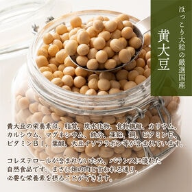 【初回限定】【450g(450g×1袋)】国産 黄大豆