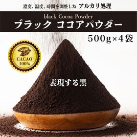 【2kg(500g×4袋)】ブラックココアパウダー(チャック...