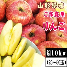 【約10kg(26~50玉)】 山形県産りんご サンふじ(ご...