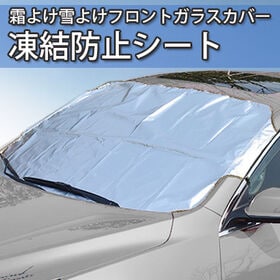 【日替数量限定】霜よけ雪よけフロントカバー【先行チケット利用NG】