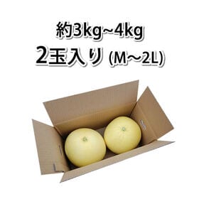 【予約受付】1/16~順次出荷【2玉入り】晩白柚（ばんぺいゆ）熊本県八代産 (ご家庭用・傷あり)