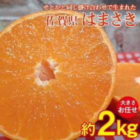 【予約受付】2/10~順次出荷【約2kg/サイズお任せ】佐賀...