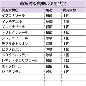 【2kg×1袋】令和6年産 【玄米】特別栽培米山形県産つや姫