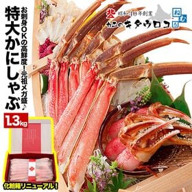 【1.3kg】生食可 カット済み 特大 本ずわいかにしゃぶ元祖メガ盛 | お刺身で食べられる高鮮度カニをカニ鍋に♪