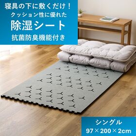 【日替数量限定】【S／グレー】ナイスデイ／寝具の下に敷くだけ！クッション性に優れた「除湿シート」(抗菌防臭機能付)【先行チケット利用NG】