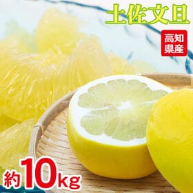 【予約受付】2/3~順次出荷【約10kg】土佐文旦 ご家庭用 | 追熟させて皮が柔らかくなったころが食べごろのサイン！