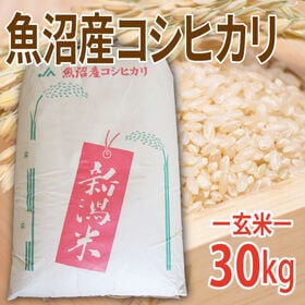 【30kg (30kg×1袋)】令和6年産 【玄米】魚沼十日町産コシヒカリ