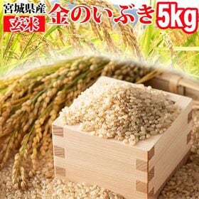 【5kg】令和6年産 宮城県産 金のいぶき (玄米)