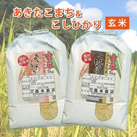 【玄米】令和6年産 魚沼産コシヒカリ5kg・秋田仙北産あきたこまち5kg　食べ比べセット