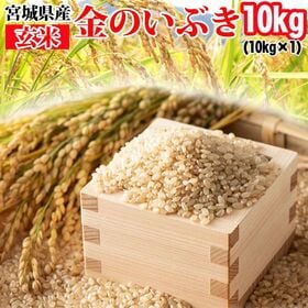 【10kg】令和6年産 宮城県産 金のいぶき (玄米)