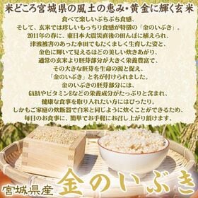 【10kg】令和6年産 宮城県産 金のいぶき (玄米)