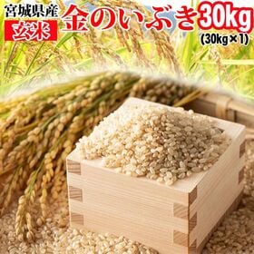 【30kg】令和6年産 宮城県産 金のいぶき (玄米)