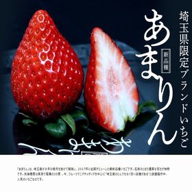 【計約500g/(1パック×約250g)×2】埼玉県産いちご『あまりん』