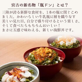 【3本セット】ご飯にのせるだけで絶品海鮮丼！「瓶ドン」(たこ・サーモン・いか 各1本)