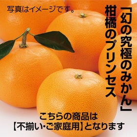 【予約受付】2/18~順次出荷【2.0kg】 香川県産 せとか (ご家庭用・サイズ不揃い)