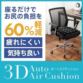 電動エアークッション 3Dオートエアクッション SJ03-B-1