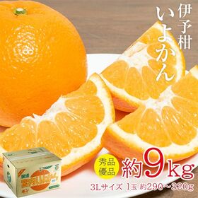 【約9kg/3Lサイズ・大玉】伊予柑 秀品・優品 | はじける香りとあふれる果汁をお楽しみください♪