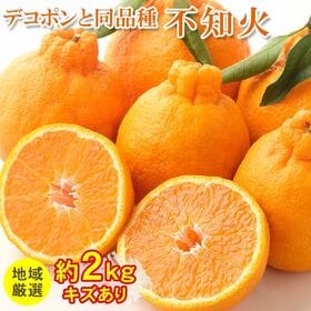 【予約受付】2/10~順次出荷【約2kg/サイズお任せ】地域厳選 不知火 (ご家庭用・傷あり) | 旬の果物、ほどよい酸味があり濃厚な味わいをお楽しみください。