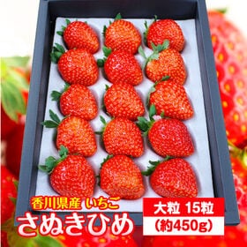 【大粒15粒(約450g)】香川県産 秀品 さぬきひめ(いちご) | いちご大国香川に誕生したさぬきひめ！大粒のみを厳選した商品です♪