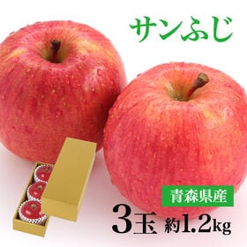 【2kg以上(秀品 大玉 6玉)】（ギフト用）青森県産サンふじりんご | シャキシャキの歯ごたえ！甘みと酸味のバランスが絶妙！一度は食べていただきたい！