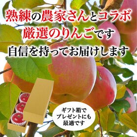 【2kg以上(秀品 大玉 6玉)】（ギフト用）青森県産サンふじりんご