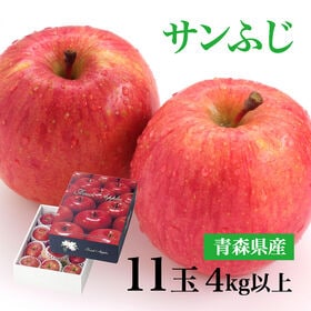 【4kg以上(秀品 大玉 11玉)】青森県産サンふじりんご | シャキシャキの歯ごたえ！甘みと酸味のバランスが絶妙！一度は食べていただきたい！