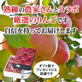 【4kg以上(秀品 大玉 11玉)】青森県産サンふじりんご