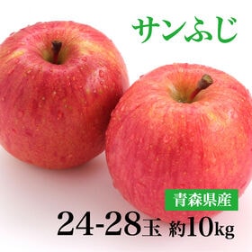 【約10kg(秀品 大玉 24-28玉)】青森県産サンふじりんご | シャキシャキの歯ごたえ！甘みと酸味のバランスが絶妙！一度は食べていただきたい！