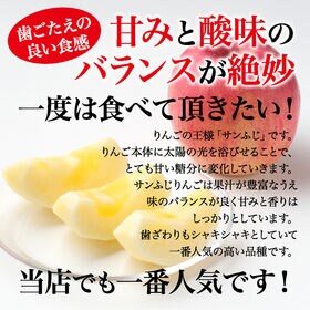 【約10kg(秀品 大玉 24-28玉)】青森県産サンふじりんご