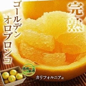 【約6kg/目安として10~20玉】Guzman農園 『樹熟オロブロンコ』アメリカ カリフォルニア産 | まろやかで苦みはなし！糖度が高めで、柔らかい口当たりのグレープフルーツのような商品です。