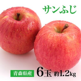 【2kg以上(秀品 大玉 6玉)】青森県産サンふじりんご