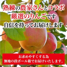 【2kg以上(秀品 大玉 6玉)】青森県産サンふじりんご