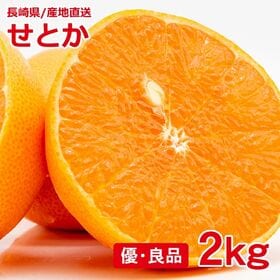 【予約受付】3/1~順次出荷【2kg】せとか 優・良品　産地直送品 | 瑞々しい口当たりが特徴。果肉はやわらかく多汁で濃厚な甘み♪