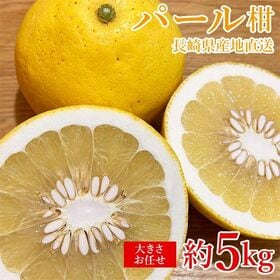 【予約受付】3/15~順次出荷【約5kg】パール柑 ご家庭用　産地直送品 | さわやかな香りや、クセになる甘 酸っぱい味がパール柑の特徴です♪