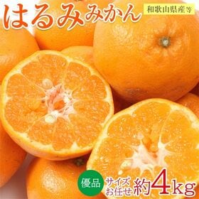 【約4kg/サイズ・産地お任せ】はるみ　優品 | 糖度が高くて適度な酸味と、  プリプリと した食感で深み味わいをお楽しみください♪