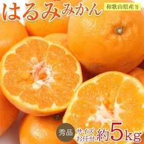 【約5kg/サイズ・産地お任せ】はるみ　秀品 | 糖度が高くて適度な酸味と、  プリプリと した食感で深み味わいをお楽しみください♪