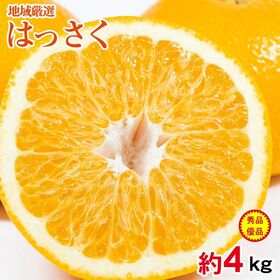 【予約受付】2/10~順次出荷【約4kg/L~2Lサイズ】和歌山県産はっさく  秀・優品 | プチプチ実の弾ける甘酸っぱさ♪