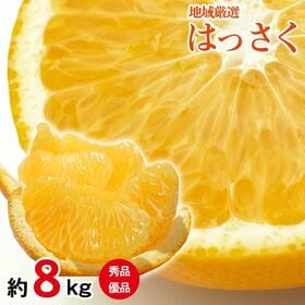 【予約受付】2/10~順次出荷【約8kg/L~2Lサイズ】和歌山県産はっさく 秀・優品 | プチプチ実の弾ける甘酸っぱさ♪