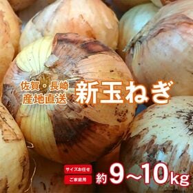 【予約受付】3/25~順次出荷【約9~10kg】長崎県産・佐賀県産 新玉ねぎ(ご家庭用、傷あり) | 春の味覚「新玉ねぎ」はやわらかくて水分が多く、みずみずしく甘みがあります。