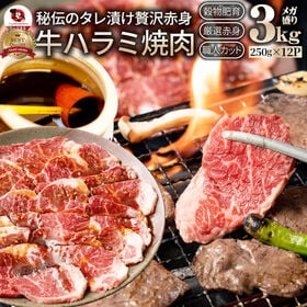 【計3kg(250g×12)】牛ハラミ焼肉（タレ漬け） | 秘伝のタレ漬け！柔らかな焼肉大定番「牛ハラミ」タレ漬け便利な小分けパック。