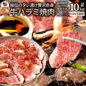 【計10kg(250g×40)】牛ハラミ焼肉（タレ漬け） | 秘伝のタレ漬け！柔らかな焼肉大定番「牛ハラミ」タレ漬け便利な小分けパック。