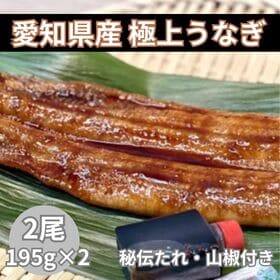 【2尾/390g(195g×2セット)】愛知県産 極上うなぎ蒲焼き（秘伝たれ・山椒付き） | 熟練匠が活きた鰻を完全手作業で作り冷凍！出来立てをご自宅で堪能！「究極の極上うなぎ」