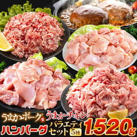 【5種/計1520g】 お肉5種 大容量バラエティ福袋 | ハンバーグ 豚肉 鶏肉 切り落とし