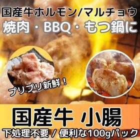 【計1kg/100g×10パック】国産牛ホルモン（小腸/マルチョウ） | 新鮮でプリプリ！BBQ/焼肉/もつ鍋に。脂の甘み、柔らかな食感と濃厚な旨味が絶品！