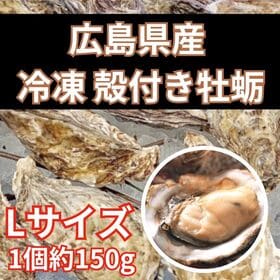 【約3kg(約20個)/Lサイズ】広島県産 殻付き牡蛎 | 身入り抜群！プリップリの新鮮な広島産生かきをBBQ・カンカン焼・レンチン等々で！旨い！