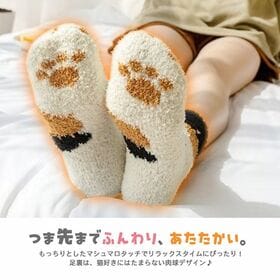 ふわふわ猫足ルームソックス3足セット