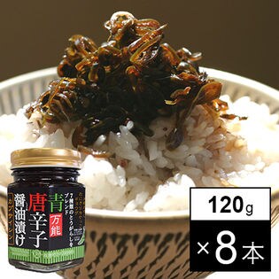 国産 青唐辛子醤油漬け 1g 8本 A を税込 送料込でお試し サンプル百貨店 株式会社ファミリー ライフ